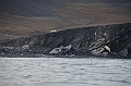 070_Russia_Wrangel_Island_Cape_Waring