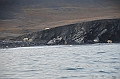 072_Russia_Wrangel_Island_Cape_Waring