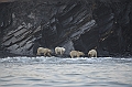 078_Russia_Wrangel_Island_Cape_Waring