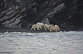 079_Russia_Wrangel_Island_Cape_Waring