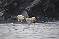 082_Russia_Wrangel_Island_Cape_Waring