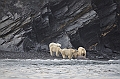 083_Russia_Wrangel_Island_Cape_Waring