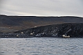 084_Russia_Wrangel_Island_Cape_Waring