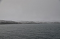 100_Russia_Wrangel_Island_Ptichiy_Bazar