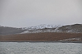 101_Russia_Wrangel_Island_Ptichiy_Bazar