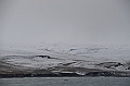 103_Russia_Wrangel_Island_Ptichiy_Bazar