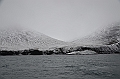 106_Russia_Wrangel_Island_Ptichiy_Bazar