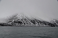 107_Russia_Wrangel_Island_Ptichiy_Bazar