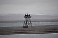 110_Russia_Wrangel_Island