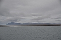 113_Russia_Wrangel_Island