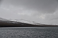 115_Russia_Wrangel_Island
