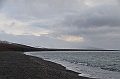 116_Russia_Wrangel_Island