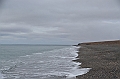 117_Russia_Wrangel_Island