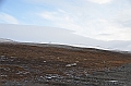 118_Russia_Wrangel_Island