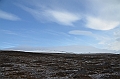 120_Russia_Wrangel_Island