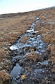124_Russia_Wrangel_Island