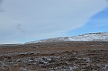 136_Russia_Wrangel_Island
