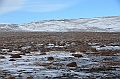 142_Russia_Wrangel_Island