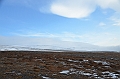 144_Russia_Wrangel_Island
