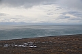 145_Russia_Wrangel_Island