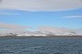 150_Russia_Wrangel_Island_Krasina_Bay
