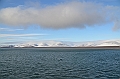 155_Russia_Wrangel_Island_Krasina_Bay
