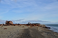 158_Russia_Wrangel_Island_Krasina_Bay
