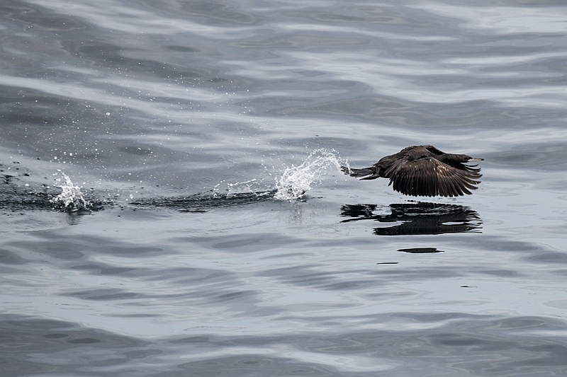 456_Best_of_by_Ponant.jpg