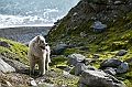 088_Best_of_by_Ponant