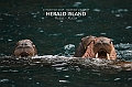 137_Best_of_by_Ponant