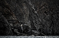 142_Best_of_by_Ponant