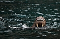 146_Best_of_by_Ponant