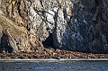 167_Best_of_by_Ponant