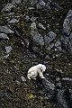 170_Best_of_by_Ponant