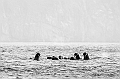 177_Best_of_by_Ponant