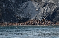 195_Best_of_by_Ponant