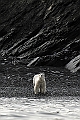 203_Best_of_by_Ponant
