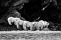 213_Best_of_by_Ponant