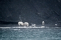 272_Best_of_by_Ponant