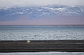 275_Best_of_by_Ponant