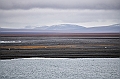 276_Best_of_by_Ponant