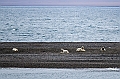 280_Best_of_by_Ponant