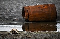 361_Best_of_by_Ponant