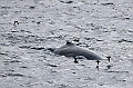 370_Best_of_by_Ponant