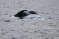 373_Best_of_by_Ponant