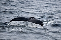381_Best_of_by_Ponant