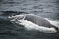 383_Best_of_by_Ponant
