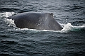 384_Best_of_by_Ponant
