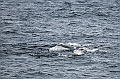 392_Best_of_by_Ponant