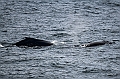 393_Best_of_by_Ponant